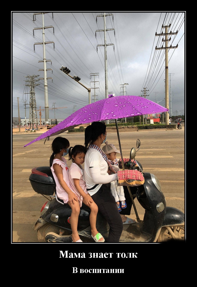 Podborka luchshikh demotivatorov 496 076